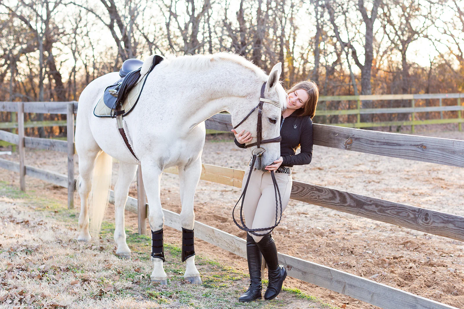 Equestrian with a white horse in an outdoor paddock